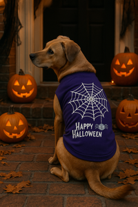 Dog wearing a 'Happy Halloween' shirt with pumpkins in the background