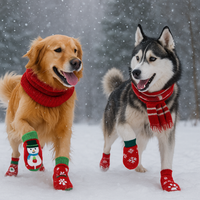 Two dogs, a Golden Retriever and a Husky, wearing red scarves and festive socks in a snowy setting.