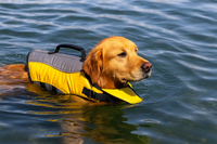 Deluxe Dog Life Vest Jacket