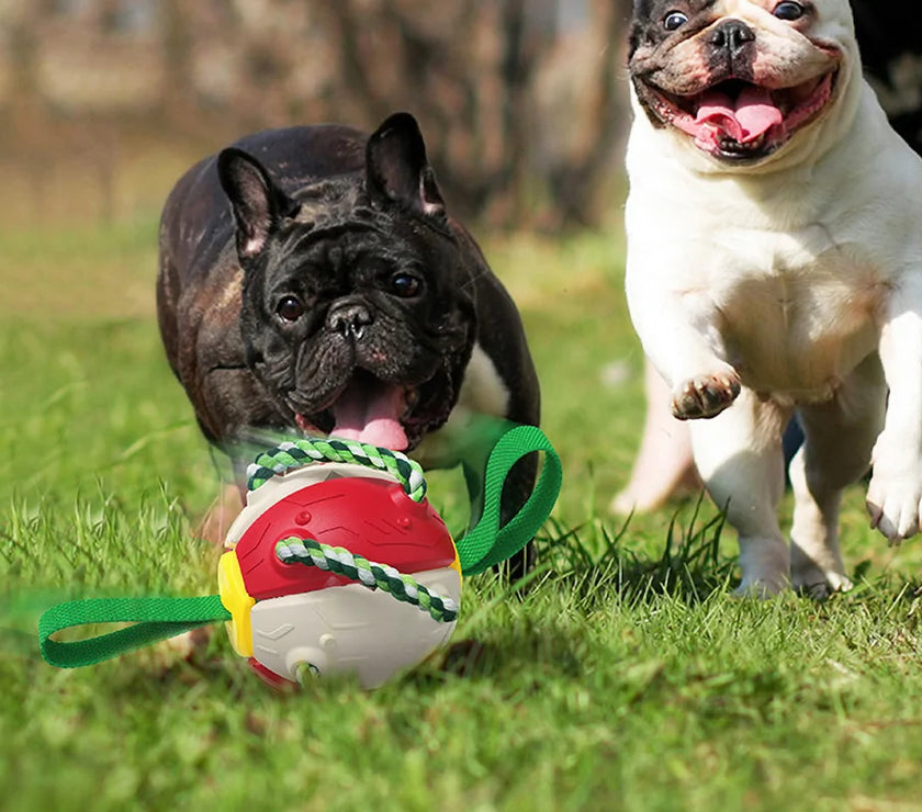 Interactive Dog Toy