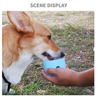 Leakage Food Ball for Dogs