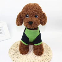 Small brown dog wearing a green and black outfit on a white background