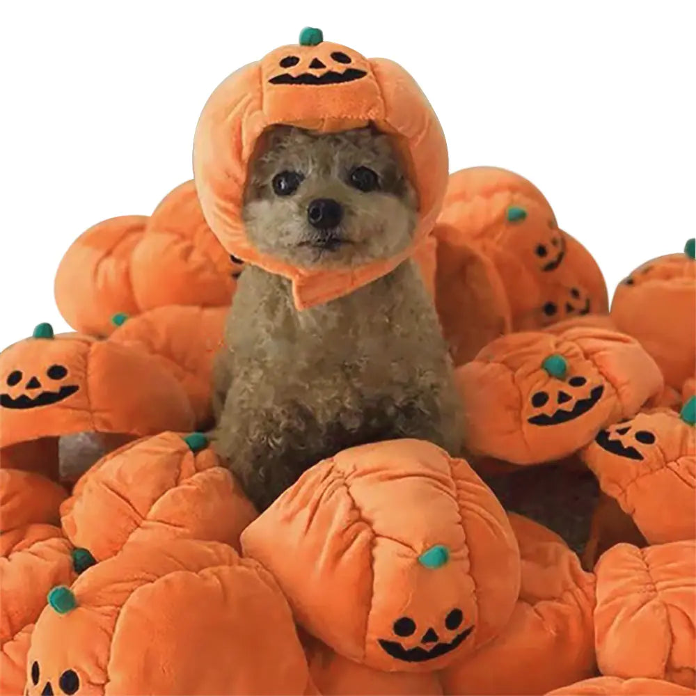 Dog wearing a pumpkin costume surrounded by more pumpkin costumes on a white background