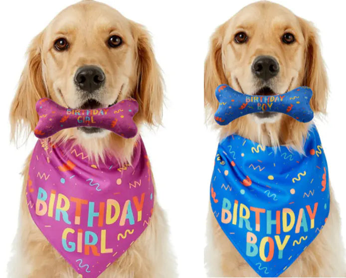 Two dogs wearing 'Birthday Girl' and 'Birthday Boy' bandanas with matching bone-shaped toys.
