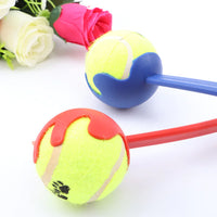 Two tennis ball dog toys with colorful handles on a white background.