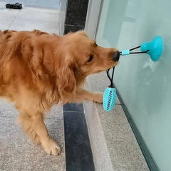 Dog playing with Silicone Suction Cup Dog Toy