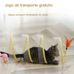 Cat playing with a transparent tunnel toy on a light wooden floor.
