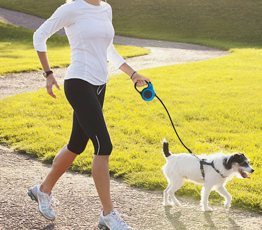 Woman walking a dog on a leash in a park