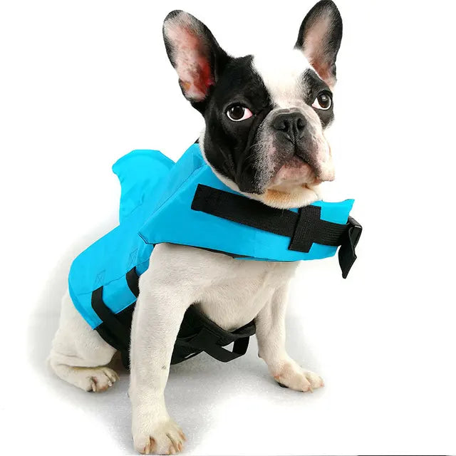 Pup Safe and Stylish with Shark Dog Life Vest