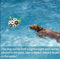 Interactive Soccer Ball Dog Toy