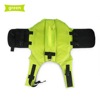 Pup Safe and Stylish with Shark Dog Life Vest