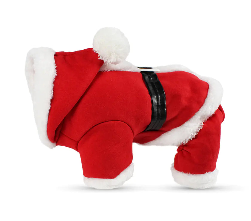 Pet Santa Costume