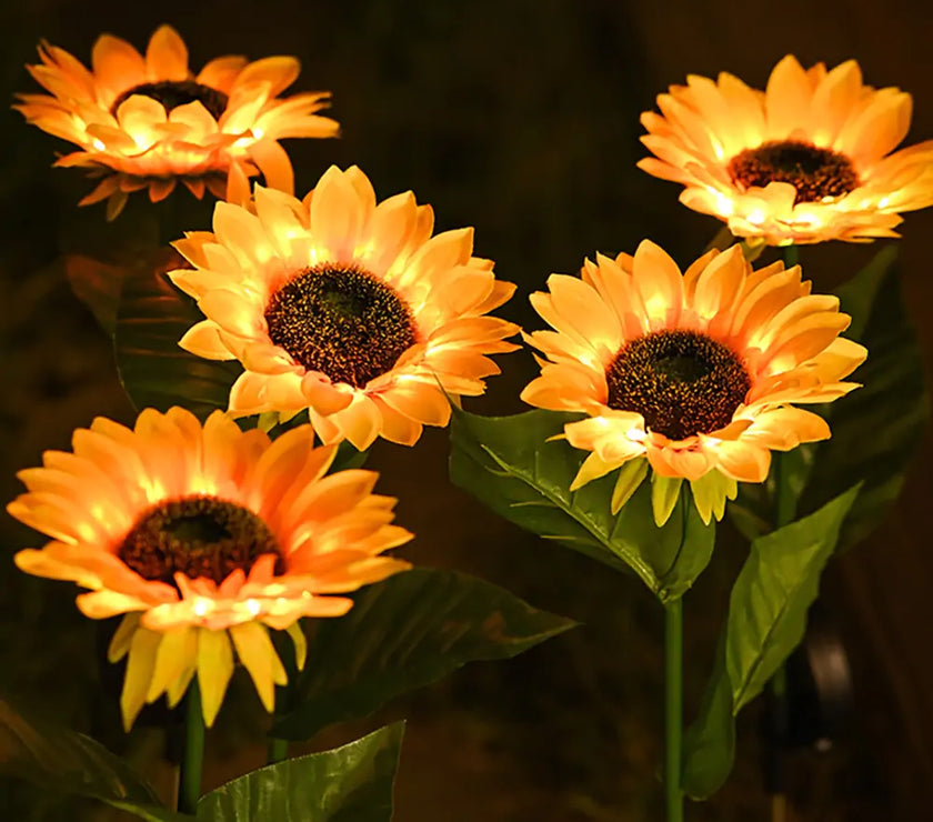 Sunflower Solar Lawn Lights