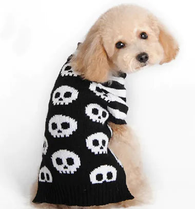 Dog wearing a black sweater with white skull patterns on a white background