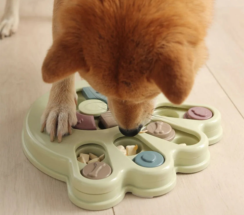 Dog Puzzle Toys