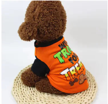 Small dog wearing an orange Halloween-themed shirt on a white background