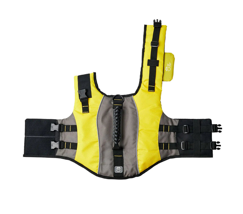 Yellow dog life vest