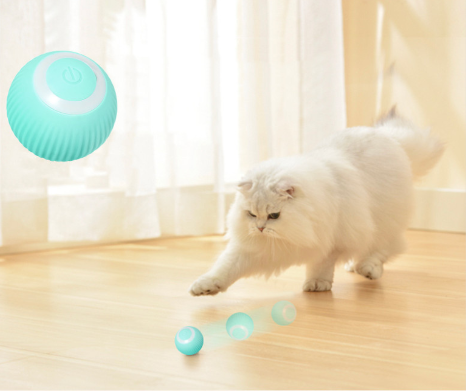 Smart Cat Ball Toys