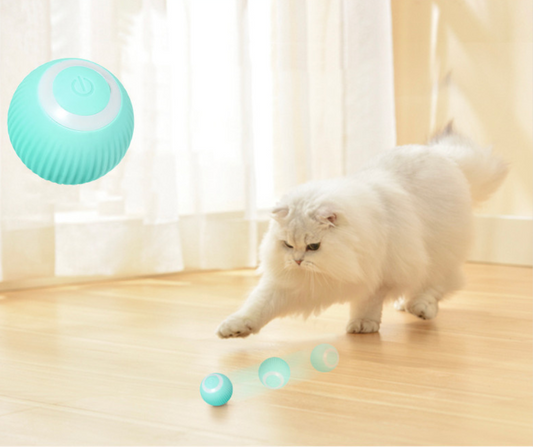 Smart Cat Ball Toys