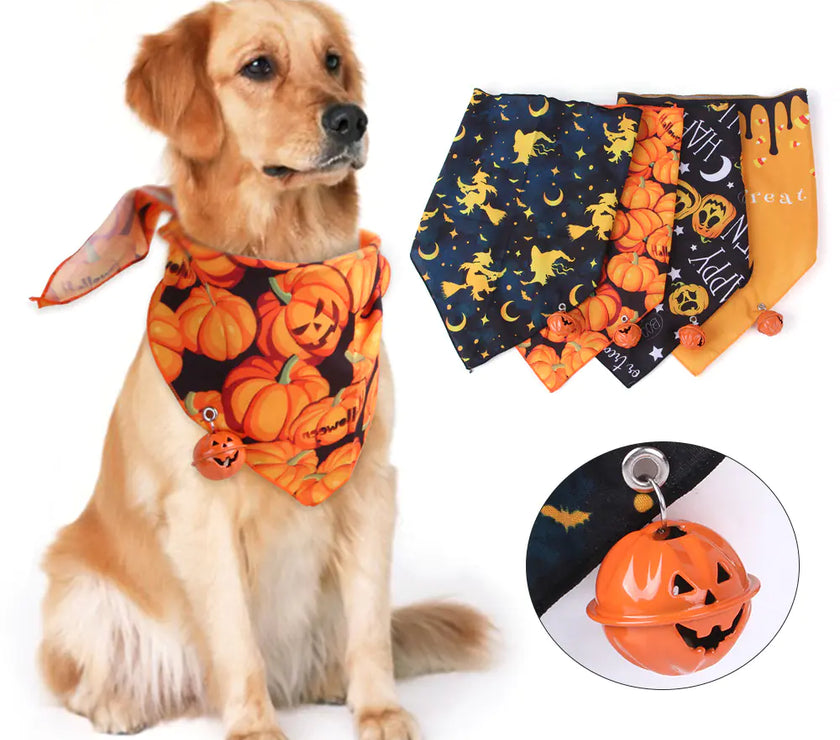 Dog wearing a Halloween-themed bandana with pumpkins and a jack-o'-lantern design.