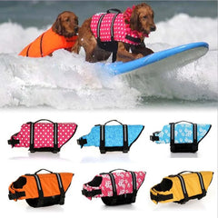 Dogs wearing vest while surfing a wave