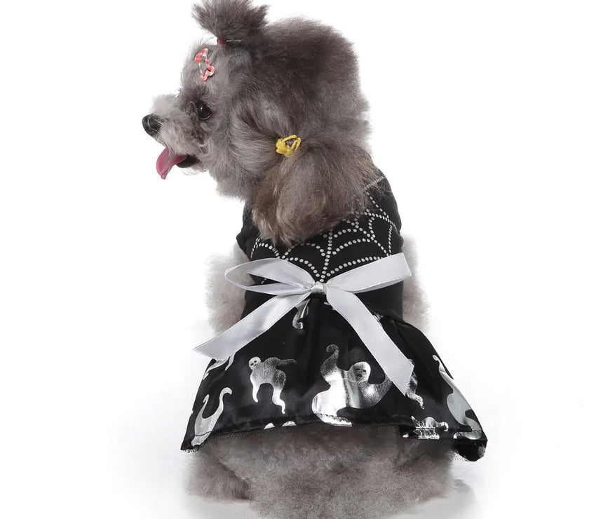 Small dog wearing a black dress with white patterns on a white background