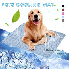 Dog sitting on Summer Cooling Pet Pad