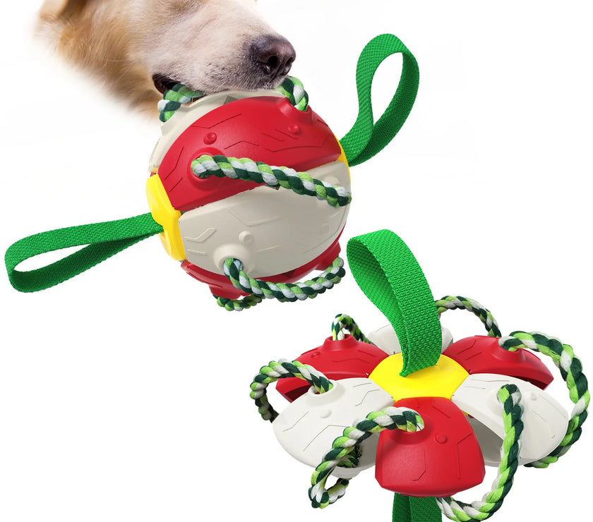 Interactive Dog Toy
