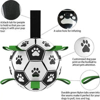 Interactive Soccer Ball Dog Toy
