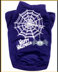 Purple pet outfit with white spider web and 'Happy Halloween' text on a plain background
