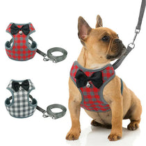Dog wearing a plaid harness with a bow tie, standing next to two additional harnesses on a white background.