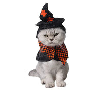 Cat wearing a Halloween-themed witch costume with a hat and scarf on a white background