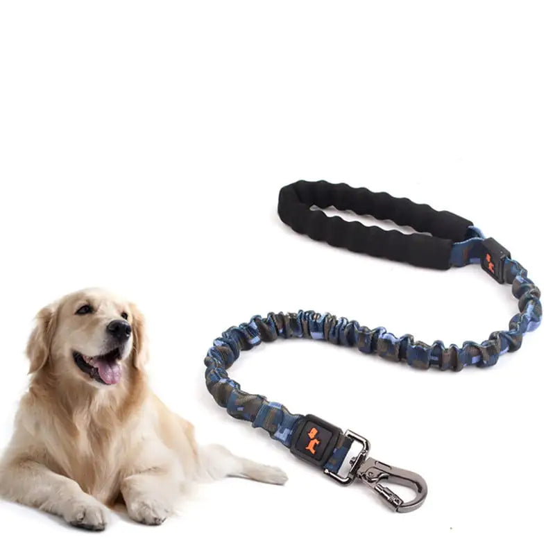 Dog lying next to a blue and black dog leash on a white background
