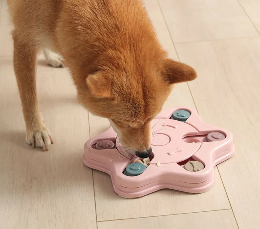 Dog Puzzle Toys
