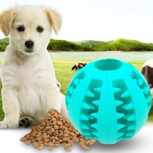 Dog with a blue rubber ball and food in front of a scenic background