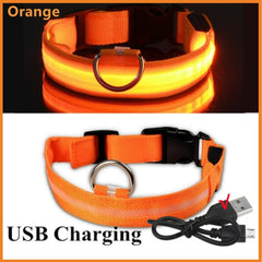 Glowing Dog Collar USB charging