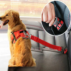 Dog wearing adjustable dog safety seat belt