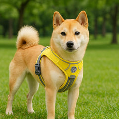 A Shiba Inu dog stands alert in a green park wearing a yellow and gray padded harness, with trees and grass softly blurred in the background.