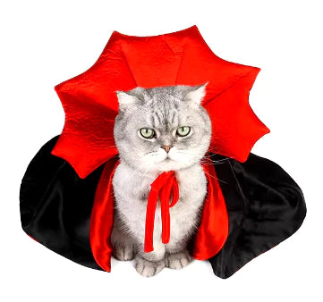 Cat wearing a vampire costume with a red cape and black outfit on a white background