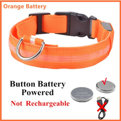 Glowing Dog Collar orange battery charge