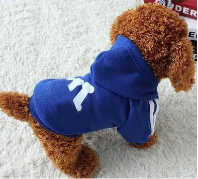Dog wearing a blue hoodie with white paw print design on a white background