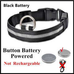 Glowing Dog Collar Black battery power