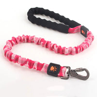 Pink and black dog leash with a carabiner on a white background