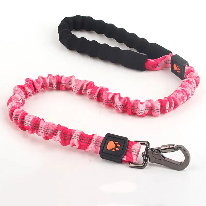 Pink and black dog leash with a carabiner on a white background