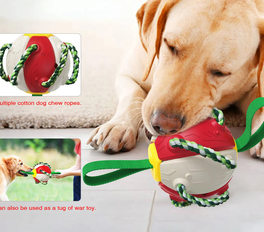 Interactive Dog Toy