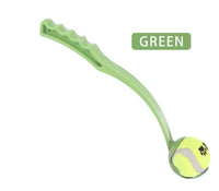 Green pet toy with a tennis ball on a white background