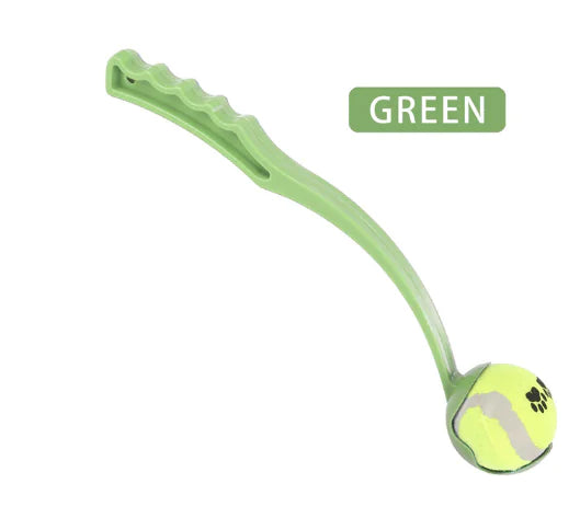 Green pet toy with a tennis ball on a white background