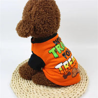 Dog wearing an orange Halloween-themed shirt with text and bones on a white background