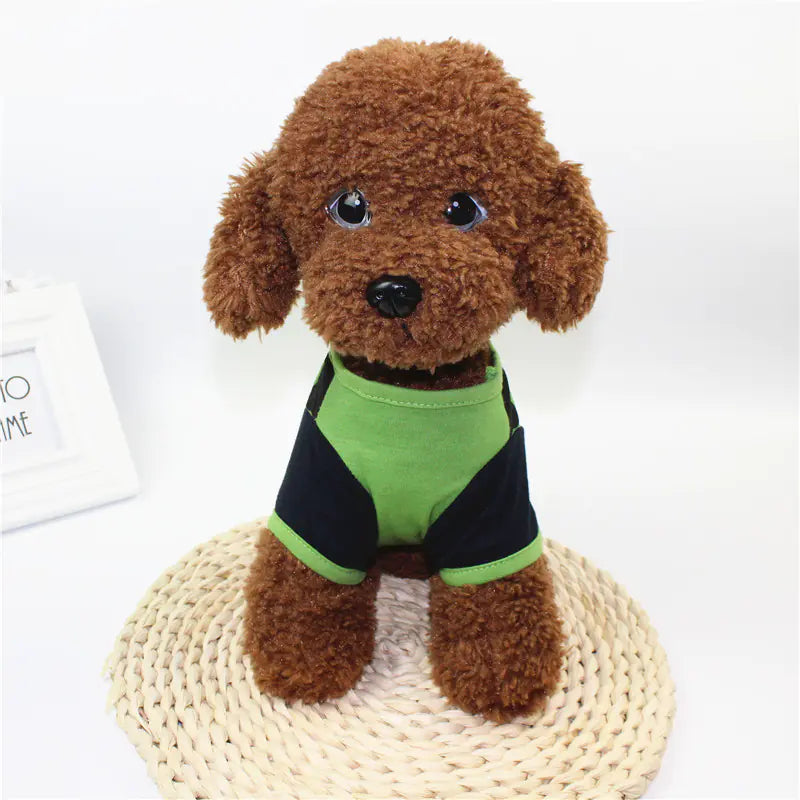 Small brown dog wearing a green and black outfit on a white background