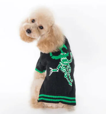 Dog wearing a black sweater with green accents on a white background